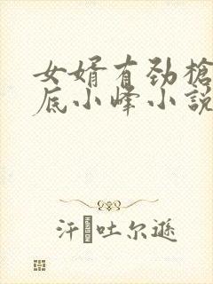 女婿有劲枪枪到底小峰小说