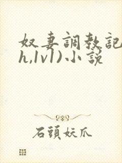 奴妻调教记(高h,1v1)小说