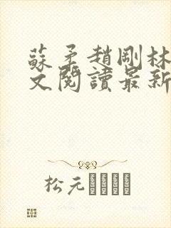 苏柔赵刚林风全文阅读最新章节列表