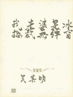 我老婆是冰山女总裁无弹窗免费