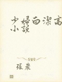 少妇白洁高义 小说封面