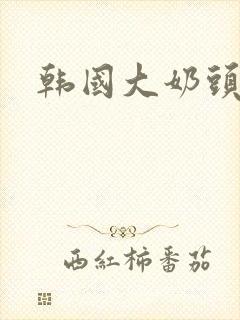 韩国大奶头