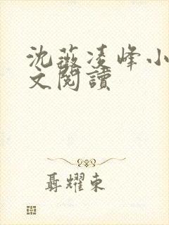 沈薇凌峰小说全文阅读封面