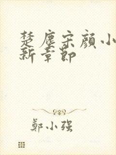 楚尘宋颜小说最新章节