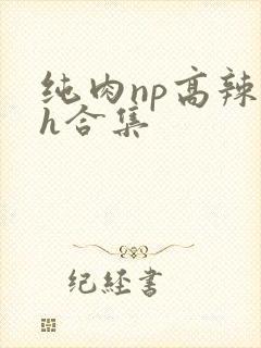 纯肉np高辣文h合集