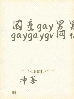 国产gay男男gaygaygv网站