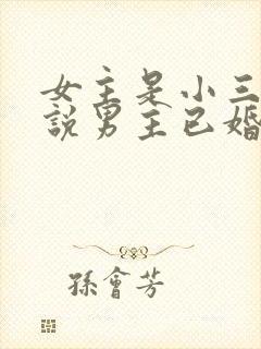 女主是小三的小说男主已婚是高干