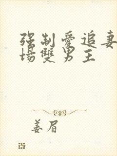 强制爱追妻火葬场双男主封面