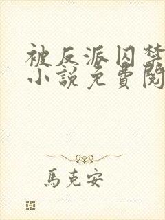 被反派囚禁之后小说免费阅读