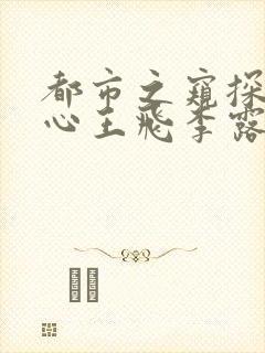 都市之窥探女人心王飞李露露小说封面