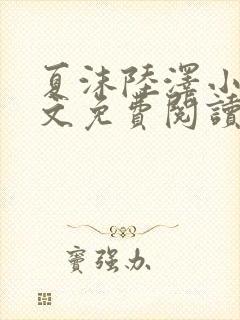 夏沫陆泽小说全文免费阅读