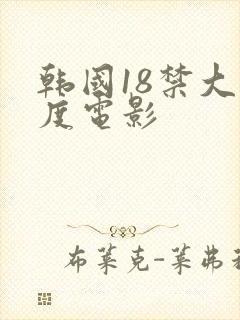 韩国18禁大尺度电影封面