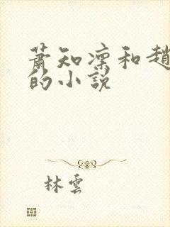 萧知凛和赵欢宜的小说
