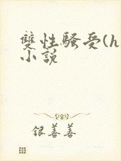 双性骚受(h)小说封面