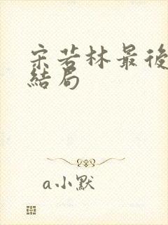 宋若林最后什么结局