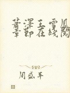 萧泽王雪凤全部章节在线阅读小说