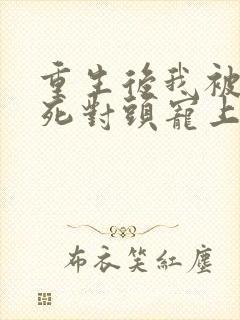 重生后我被渣男死对头宠上天.