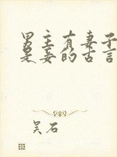 男主有妻子女主是妾的古言