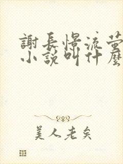 谢长憬流萤原著小说叫什么封面