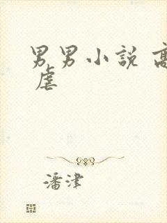 男男小说 高h 虐