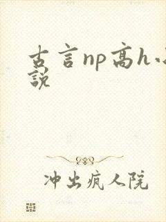 古言np高h小说