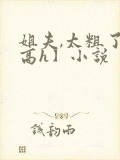 姐夫,太粗了【高h】小说