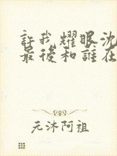 许我耀眼沈皓明最后和谁在一起封面