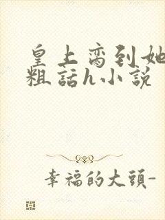 皇上脔到她哭h粗话h小说封面