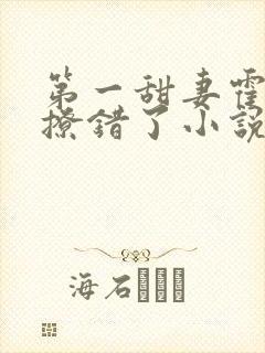 第一甜妻霍先生撩错了小说