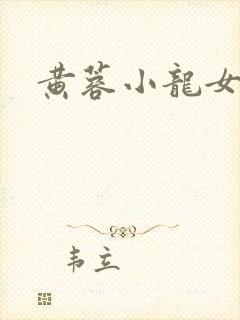 黄蓉小龙女淫封面