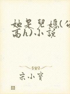 她是儿媳(公媳高h)小说