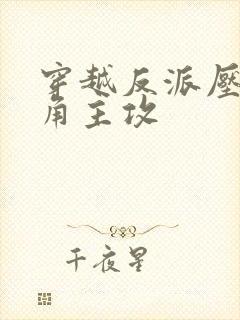 穿越反派压哭主角主攻