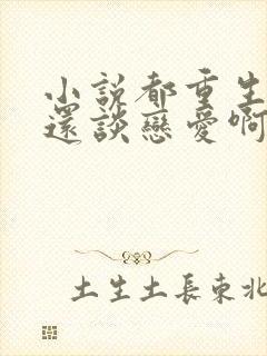 小说都重生了谁还谈恋爱啊,