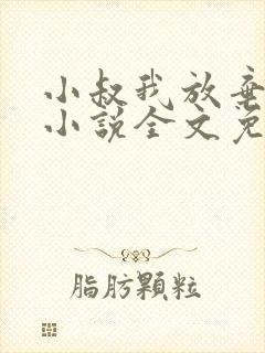 小叔我放弃你了小说全文免费阅读