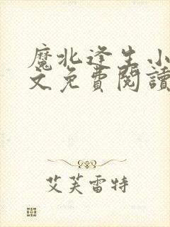 魔北逢生小说全文免费阅读