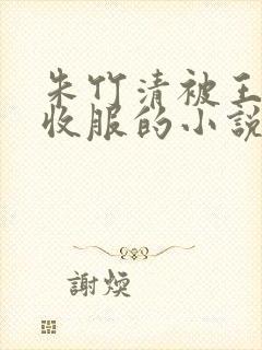 朱竹清被王二狗收服的小说