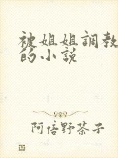 被姐姐调教榨精的小说