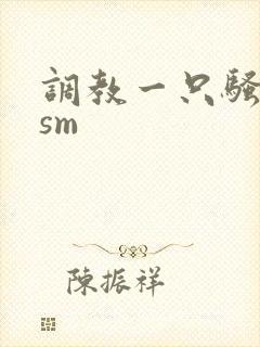 调教一只骚母狗sm