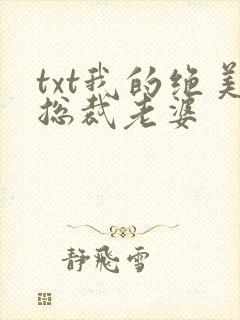 txt我的绝美总裁老婆