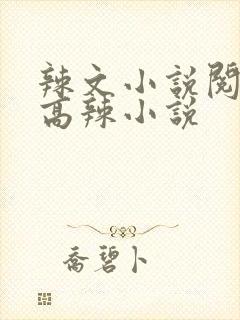 辣文小说阅读网高辣小说