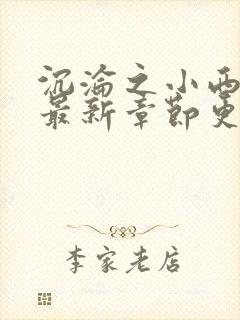 沉沦之小西全文最新章节更新封面