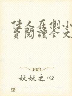 佳人在侧小说免费阅读全文无弹窗