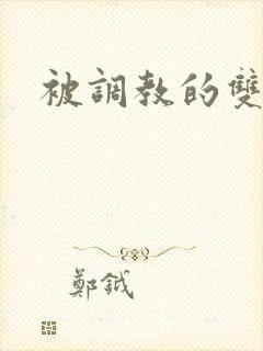 被调教的双性人封面