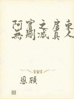 阿宾之房东太太无删减真人版