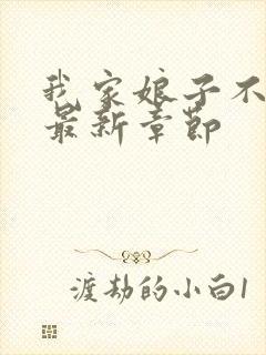 我家娘子不对劲最新章节