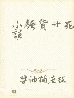 小骚货艹死你小说