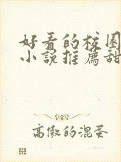 好看的校园言情小说推荐甜宠文