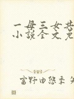 一母三女共一婿小说全文免费阅读