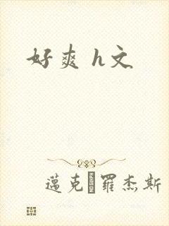 好爽 h文封面