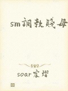 sm调教贱母狗